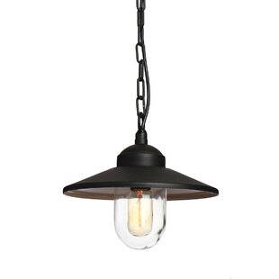 Wayfair outdoor store ceiling lights